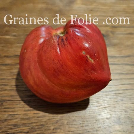 TOMATE CRUSHED HEART type chair de boeuf et très productive graines bio