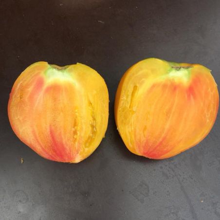 TOMATE HAWAIHAN PINEAPPLE bio variété ancienne semences paysannes certifiées agriculture biologique