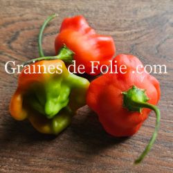 PIMENT BONNET D'ÉVÊQUE ou bishop crown pepper graines potagères rare bio