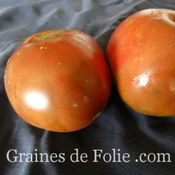 TOMATE NUITs AUSTRALEs graines bio variétés anciennes