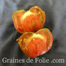 TOMATE NUITs AUSTRALEs graines bio variétés anciennes