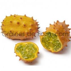 KIWANO cucumis metulifer graines concombre bio