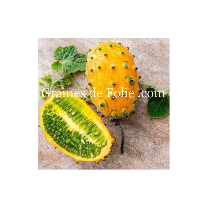 Graines Bio De Kiwano   Kiwano Cucumis Metulifer Bio 