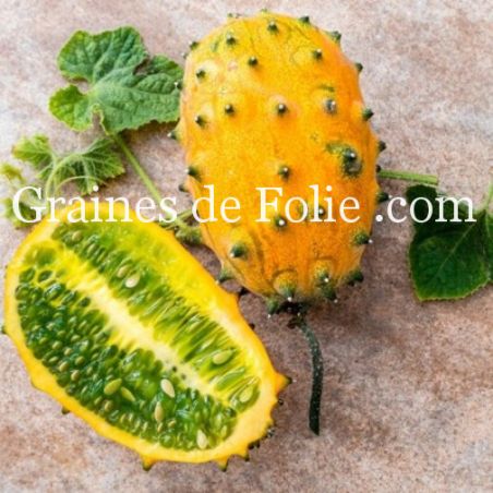 KIWANO cucumis metulifer graines concombre bio