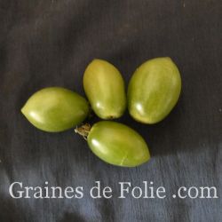 TOMATE GREEN ENVY mini prune semences paysanne bio graines de folie