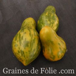 TOMATE MICHAEL POLLAN semences produite en France Graines de Folie