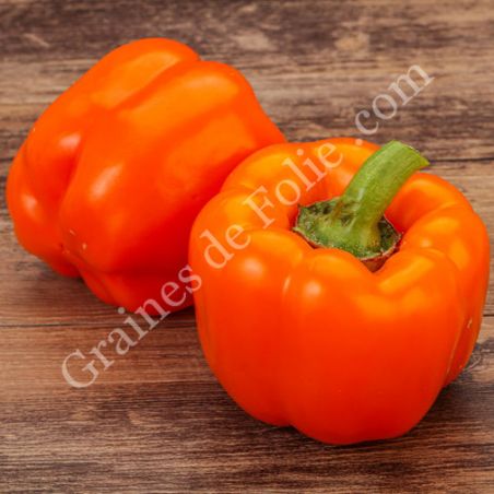 BIO POIVRON CUBO ORANGE BIO POIVRON CUBO ORANGE