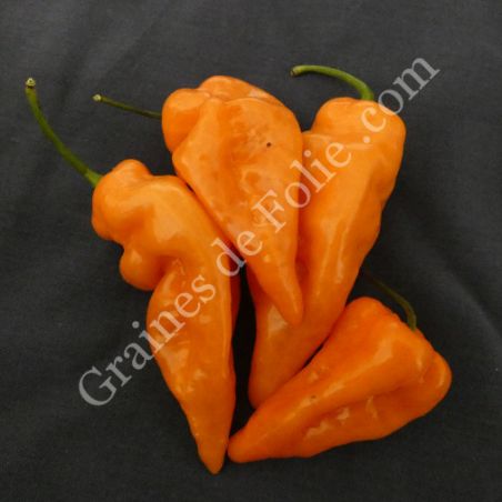 BIO PIMENT HABANADA  BIO PIMENT HABANADA