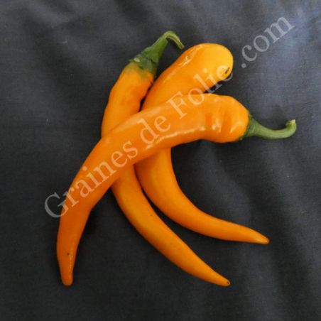  BIO PIMENT CAYENNE ORANGE