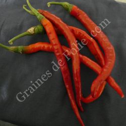 BIO PIMENT CAYENNE LONG  BIO PIMENT CAYENNE LONG