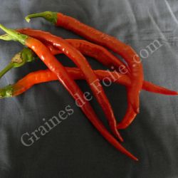 BIO PIMENT CAYENNE LONG  BIO PIMENT CAYENNE LONG
