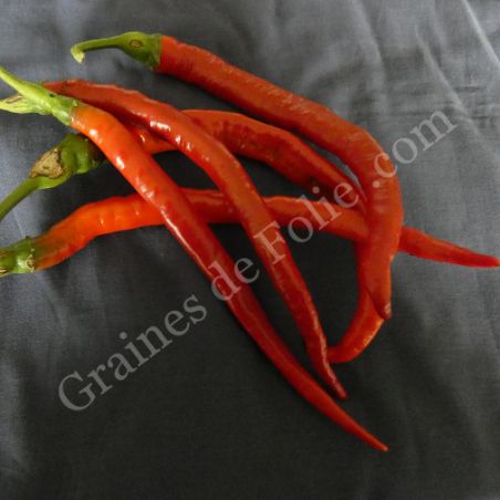  BIO PIMENT CAYENNE LONG