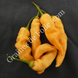  BIO PIMENT SUGAR RUSH PEACH