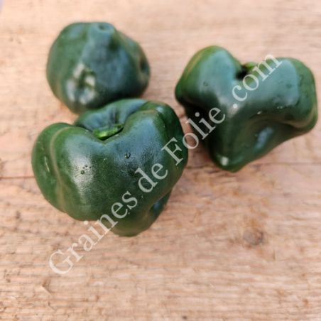 BIO PIMENT CHILHUACLE NEGRO  BIO PIMENT CHILHUACLE NEGRO