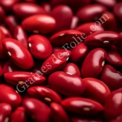  BIO HARICOT NAIN CANADIEN ROUGE chili salades mexicaines