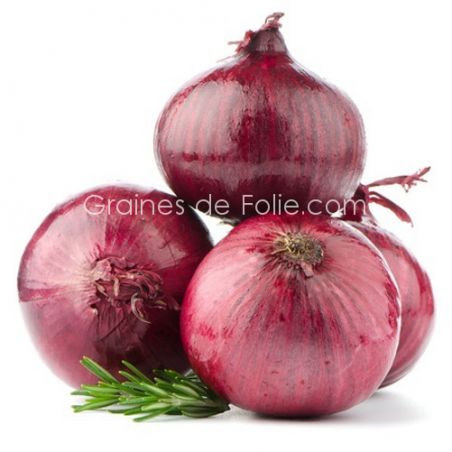 BIO OIGNON ROUGE DE BRUNSWICK BIO OIGNON ROUGE DE BRUNSWICK