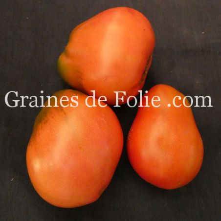 BIO TOMATE NEW ZEALAND PEAR