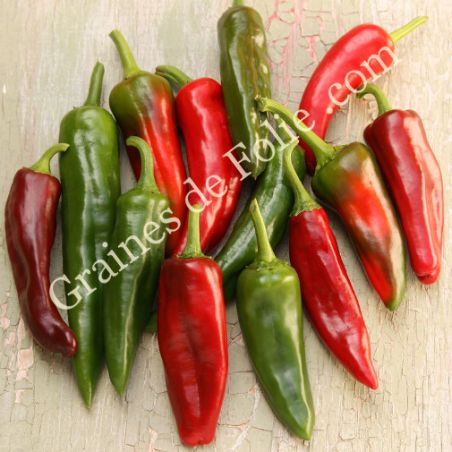 PIMENT doux NUMEX BIG JIM graines semences bio organics seeds