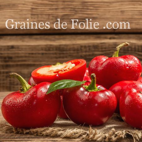 POIVRON DI CAPRIGLIO ROUGE ancienne variété Italienne graines semi bio POIVRON DI CAPRIGLIO ROUGE ancienne variété Italienne graines semi bio