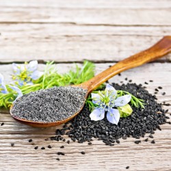 CUMIN NOIR Nigella Sativa