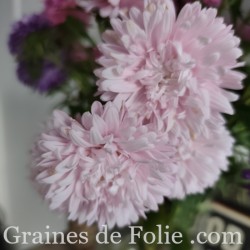 REINE MARGUERITE FLEUR DE POMMIER KING SIZE APPLEBLOSSOM