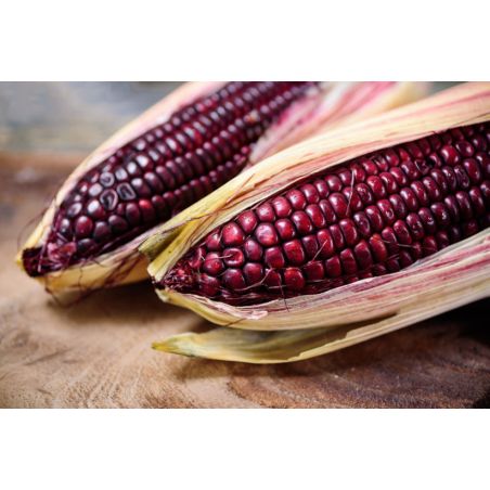 MAIS DOUX MARTIAN PURPLE  BIO