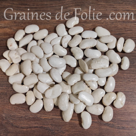 HARICOT A RAMES ORTEIL DU PRECHEUR bio