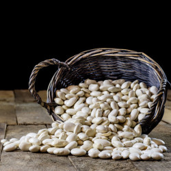 HARICOT A RAMES ORTEIL DU PRECHEUR bio