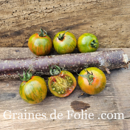 TOMATE GREEN TIGER RONDE BIO