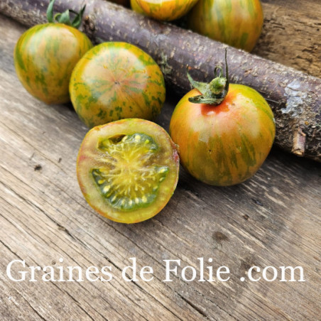 TOMATE GREEN TIGER RONDE BIO