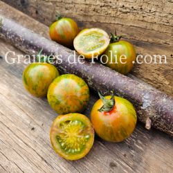 TOMATE GREEN TIGER RONDE BIO