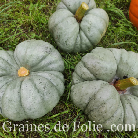 COURGE TRIAMBLE TRISTAR BIO