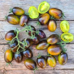 TOMATE prune BRAD'S ATOMIC GRAPE bio