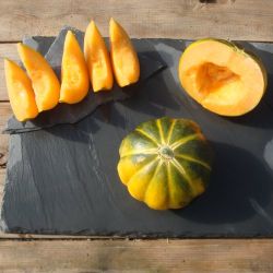 BIO MELON NOIR DES CARMES